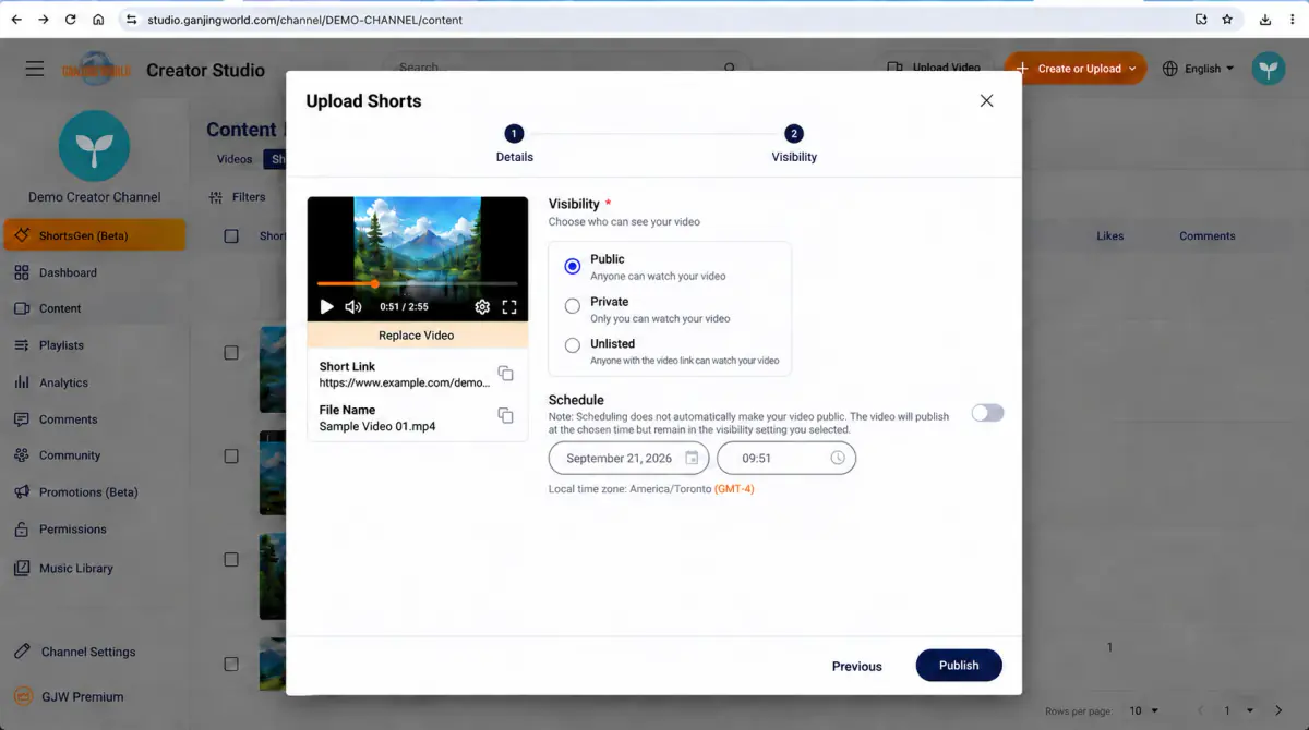 Visibility offers Public, Private, Unlisted, and Schedule.